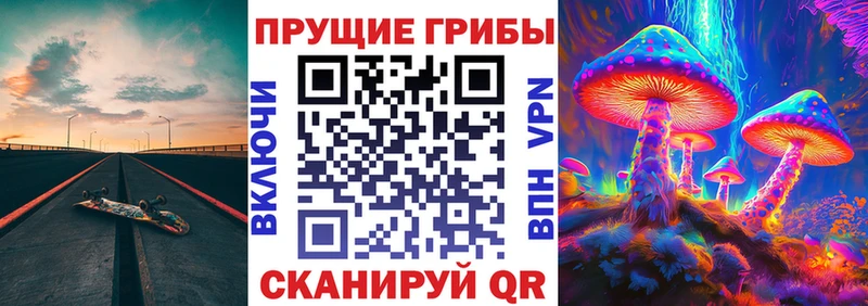 Псилоцибиновые грибы ЛСД  Купить где  Заозёрный 